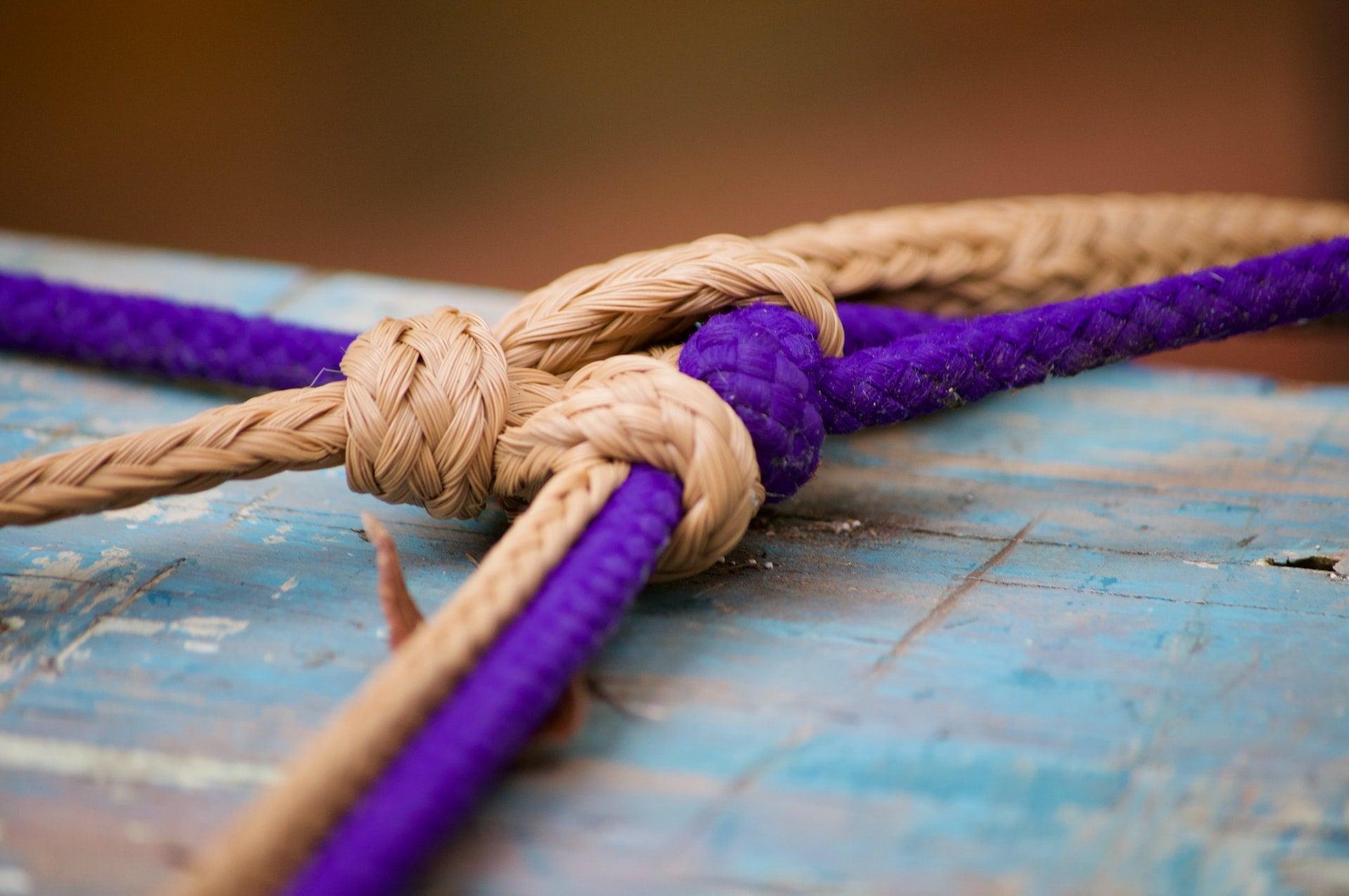 Here Are 8 Essential Knots to Teach at Rope Tying Games - Wild