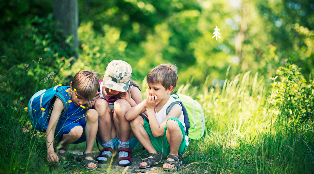 Nature's Classroom: Educating Kids About National Parks