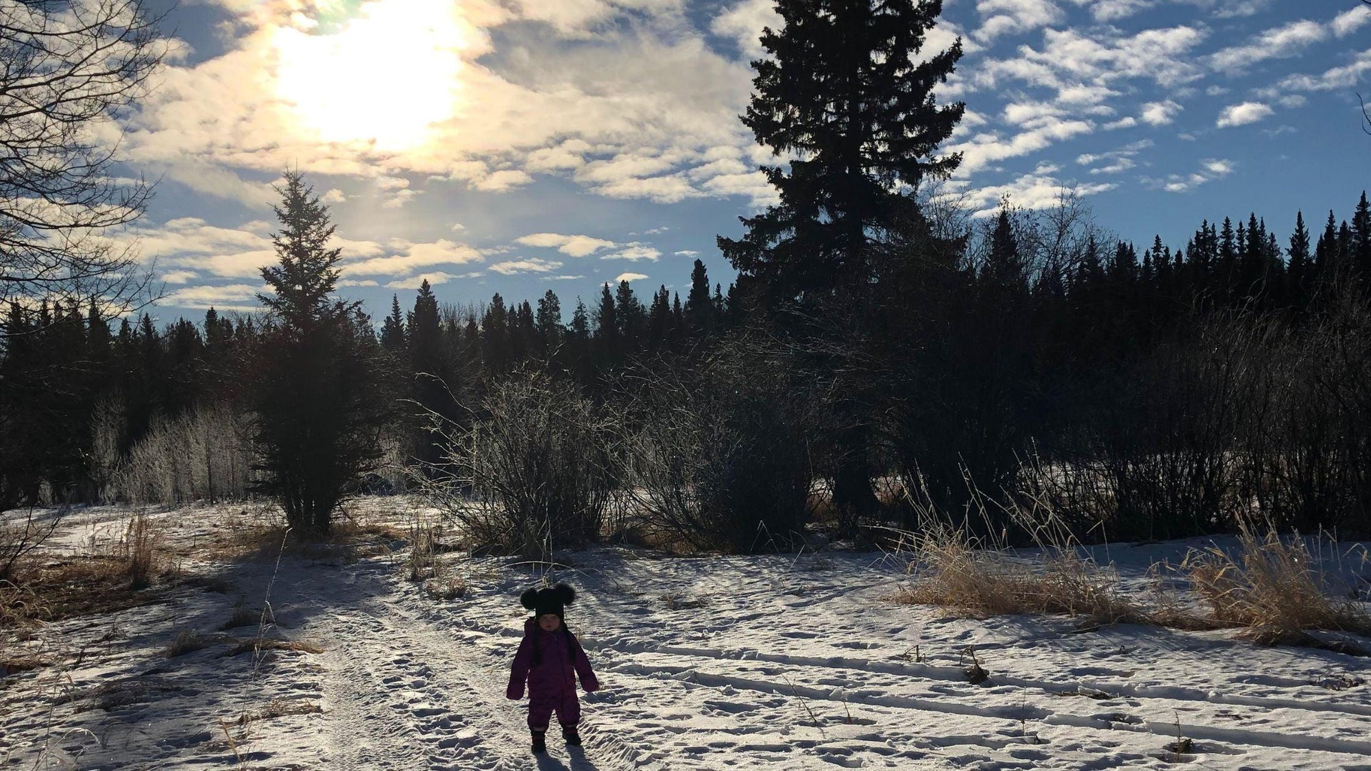 Active Backyard Play in Winter - Wild | Life Outdoor Adventures