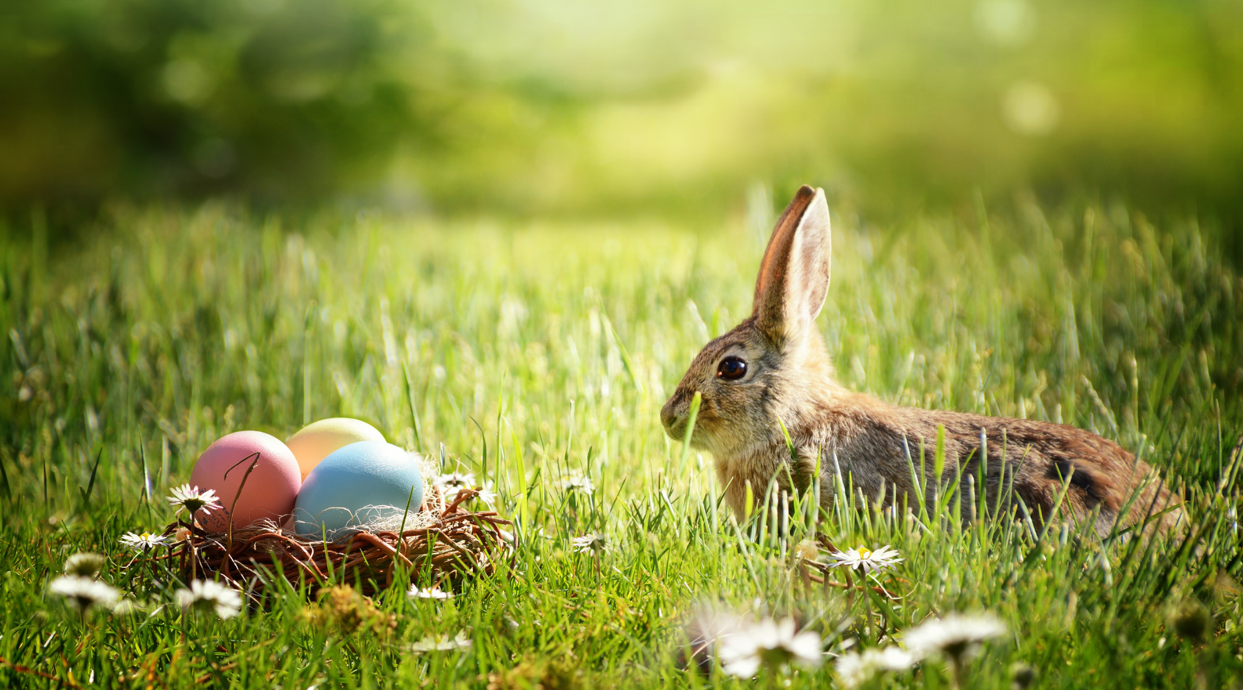 Get Outside and Enjoy Easter Fun This Year!