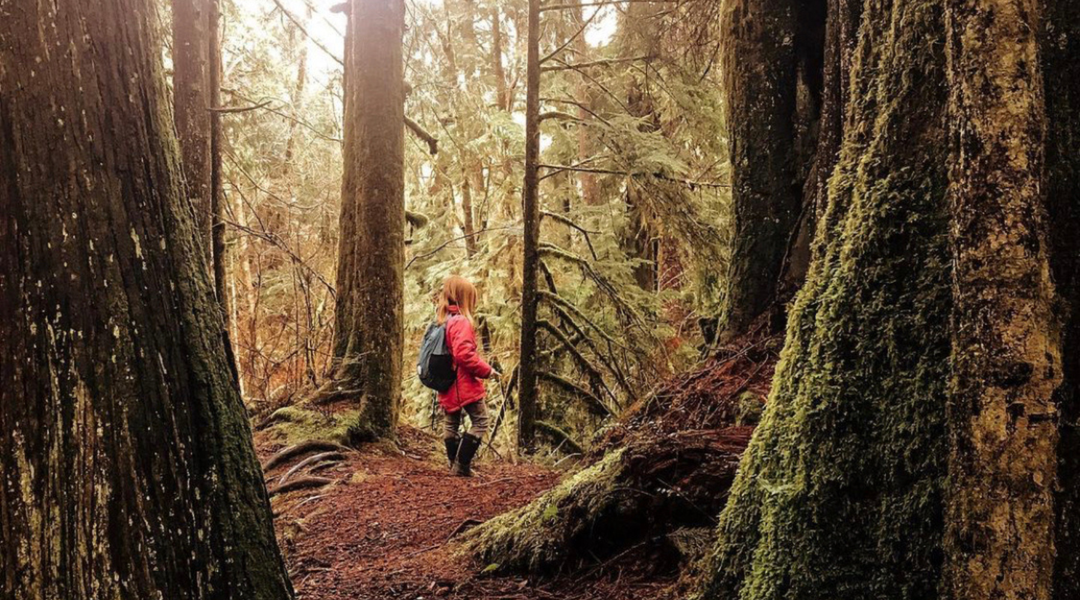 New Year, New Adventures! Make 2026 the Year of Outdoor Exploration