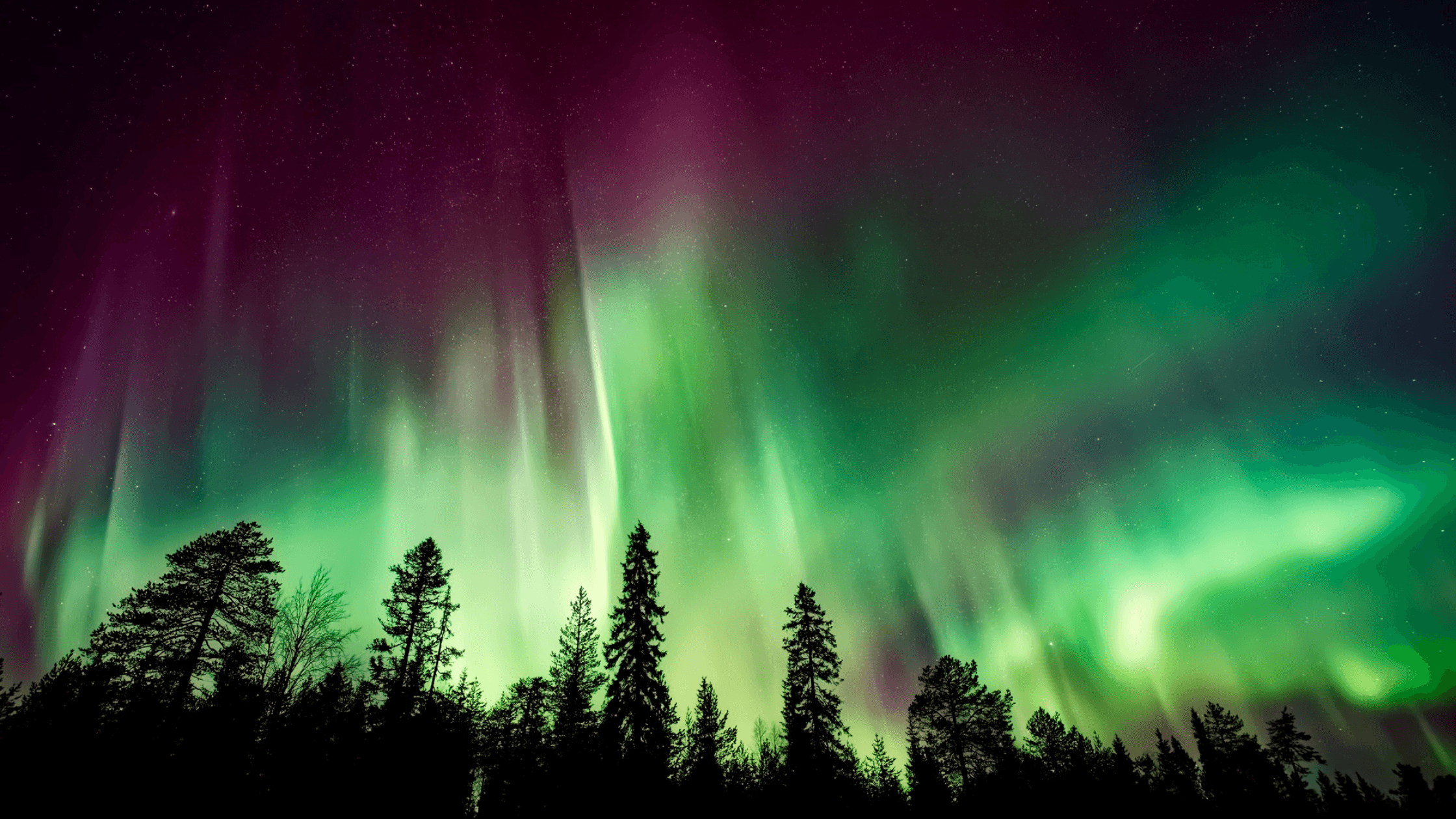Northern Lights Activities for Kids - Wild | Life Outdoor Adventures