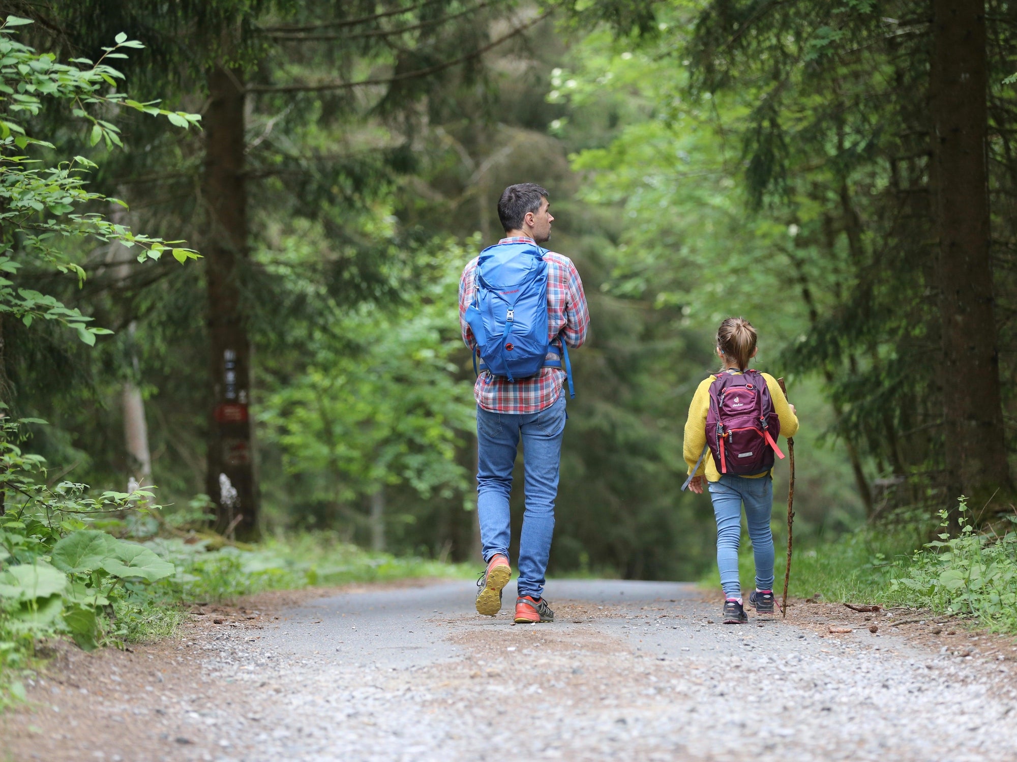 8 Mindfulness Outdoor Activities for Families - Wild | Life Outdoor Adventures