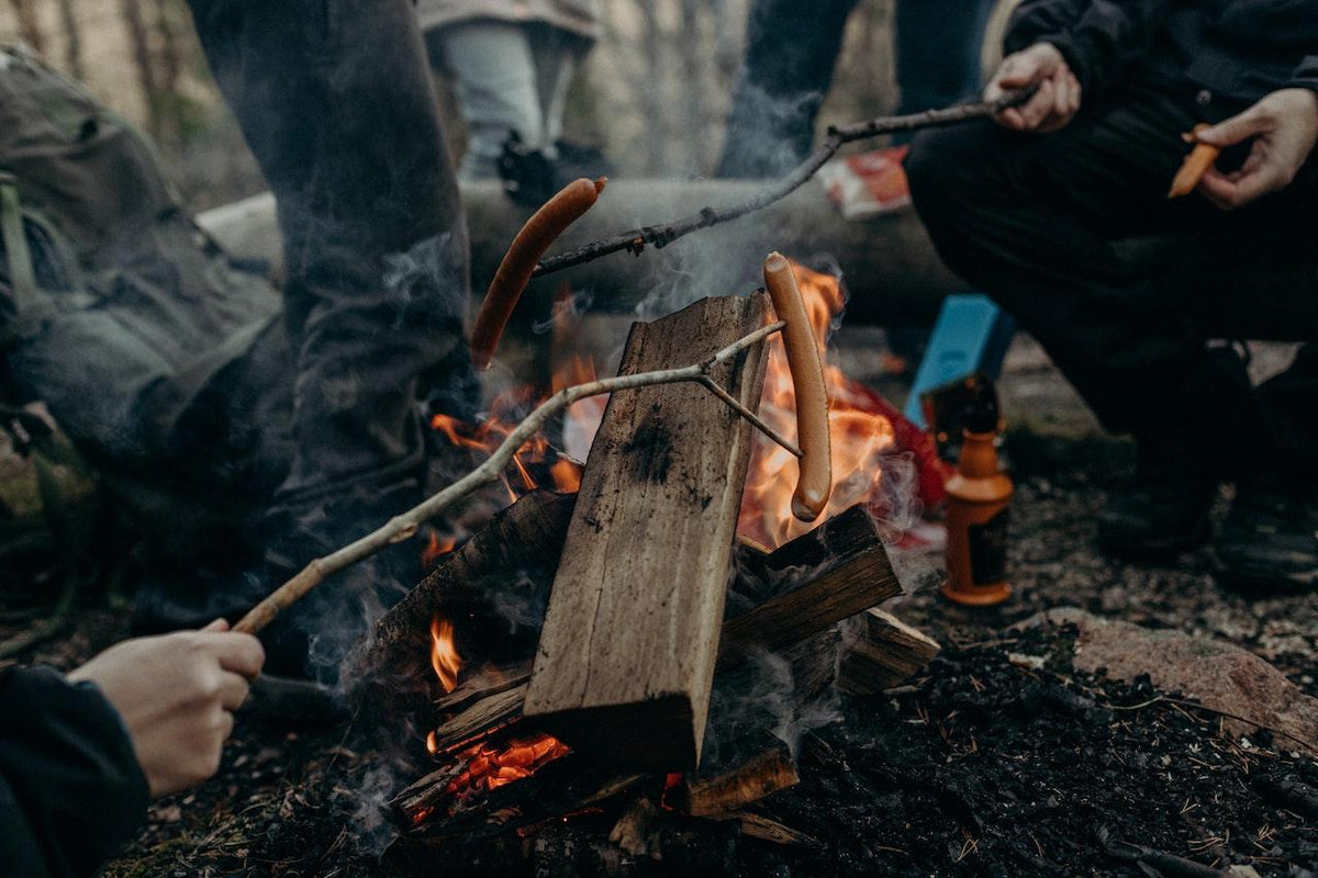 Foraging Fun Foraging 101: Make Foraging Even More Fun with Kids – Wild | Life ...