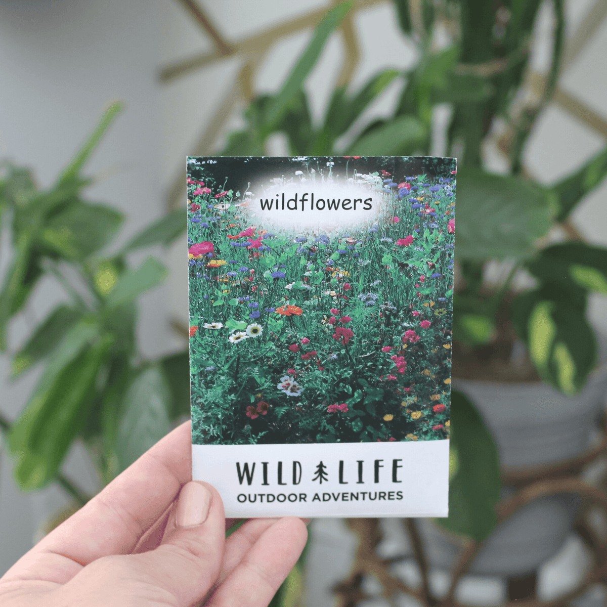 7 LIG Wild Flower Seeds - Wild | Life Outdoor Adventures