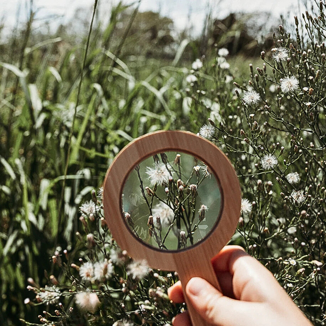 EYE SPY Eco-Bamboo 5x Magnifying Glass