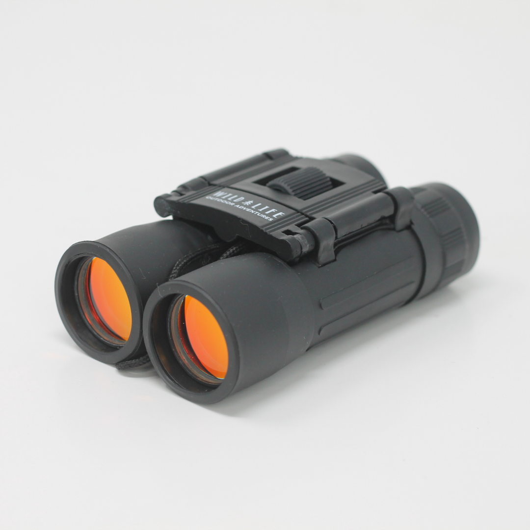 Compact Binoculars 10 x 25