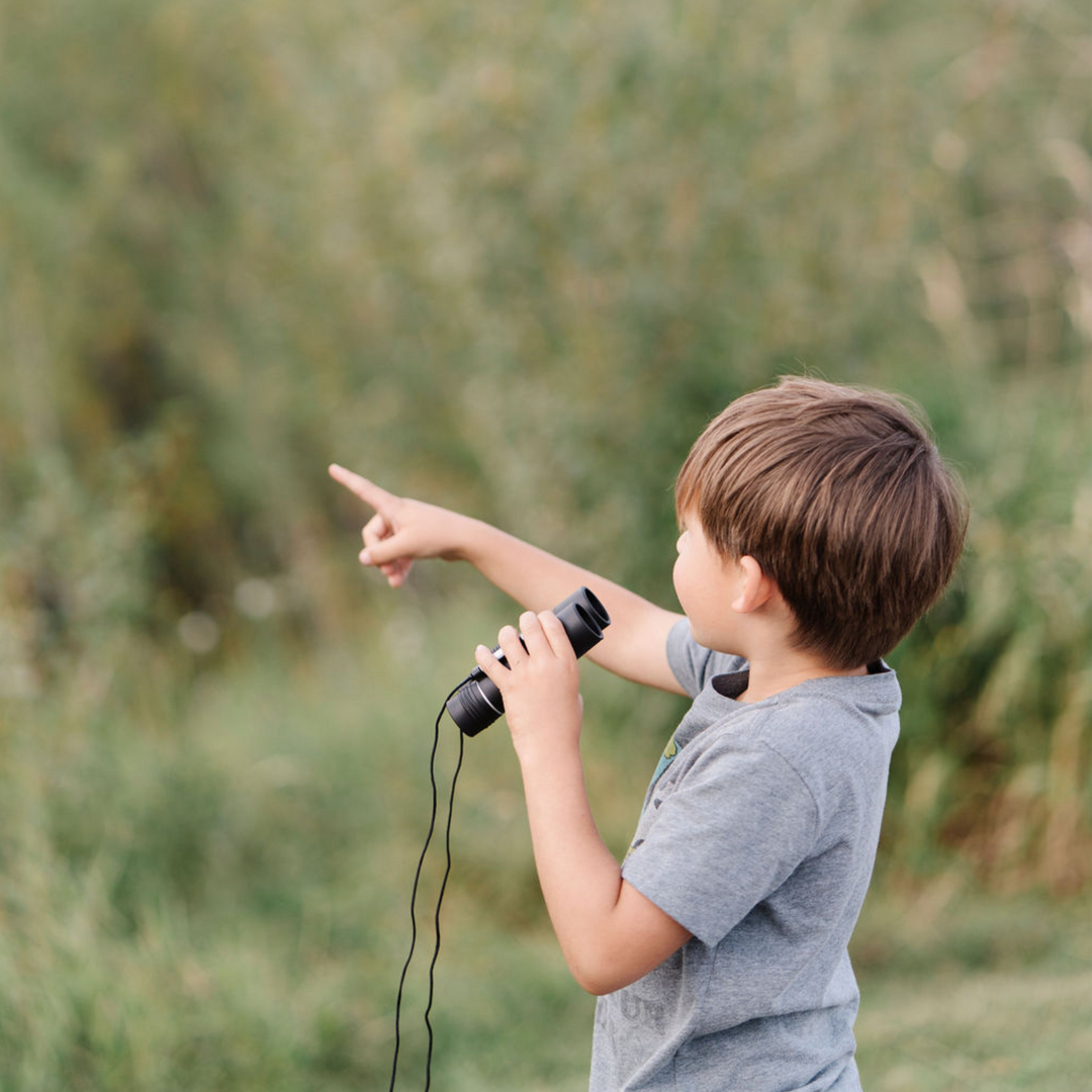 Compact Binoculars 10 x 25