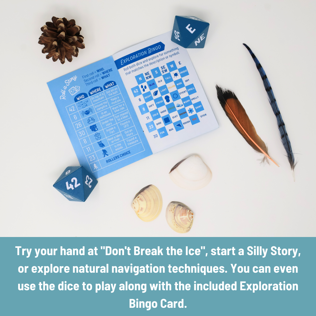 Outdoor Exploration Dice Game