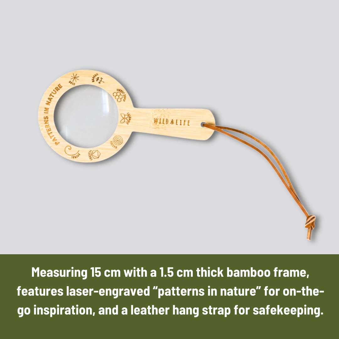 EYE SPY Eco-Bamboo 5x Magnifying Glass