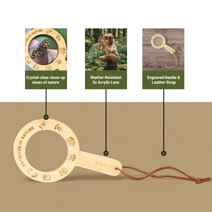 EYE SPY Eco-Bamboo 5x Magnifying Glass