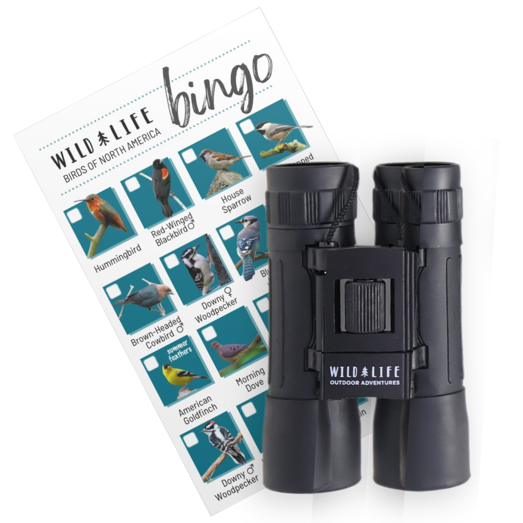 Compact Binoculars 10 x 25