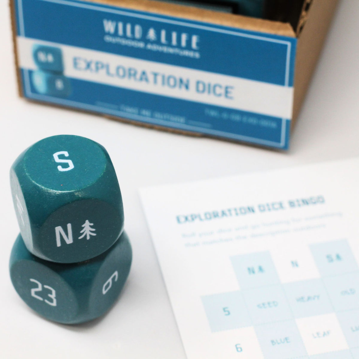 Exploration Dice