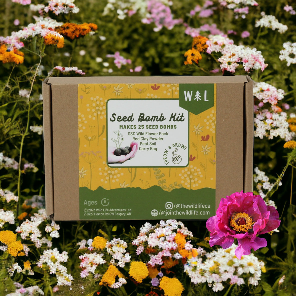 Wild Flower DIY Seed Bomb Kit