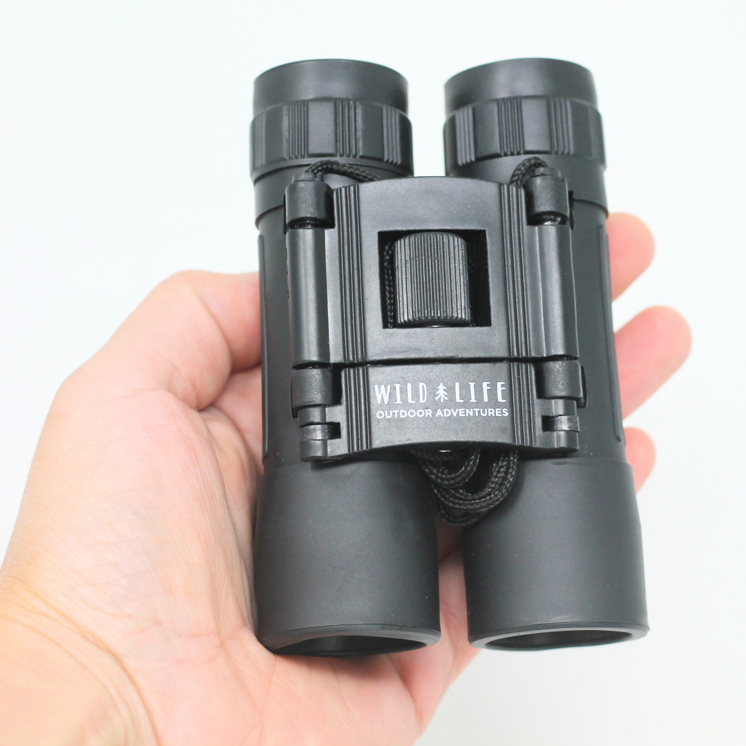 Compact Binoculars 10 x 25