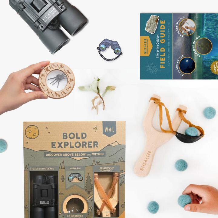 Bold Explorer Outdoor Adventure Kit