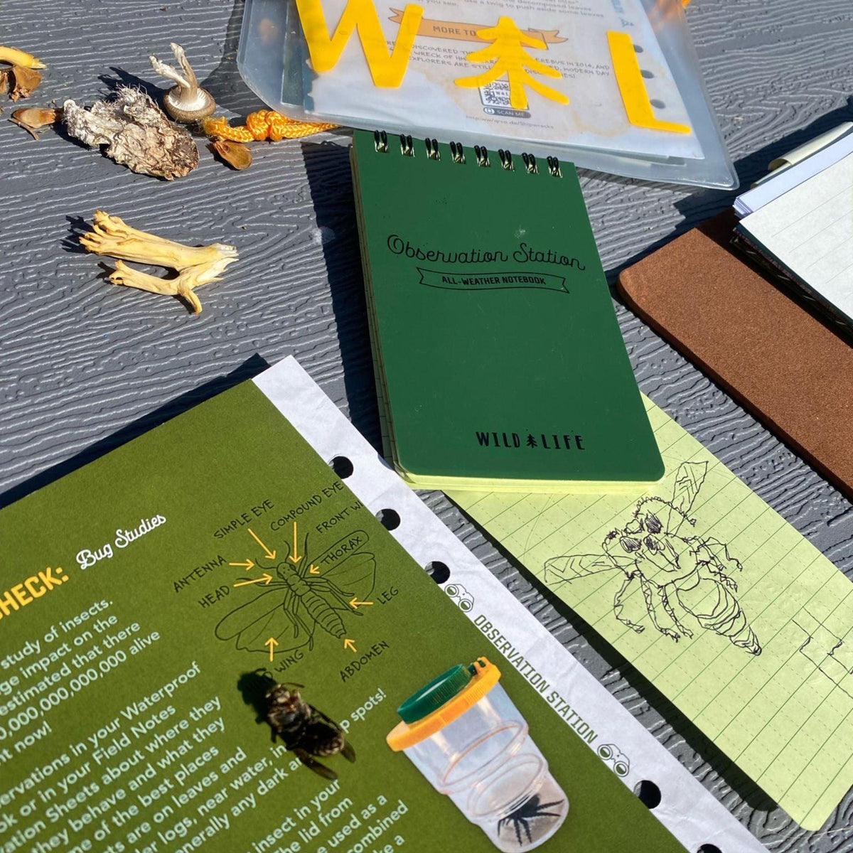 All-Weather Notebook + Permanent Marker - Wild | Life Outdoor Adventures