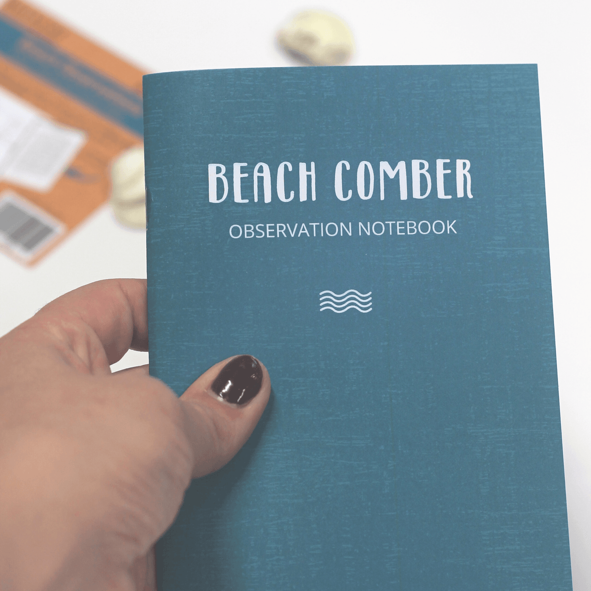 Beach Comber Observation Notebook - Wild | Life Outdoor Adventures